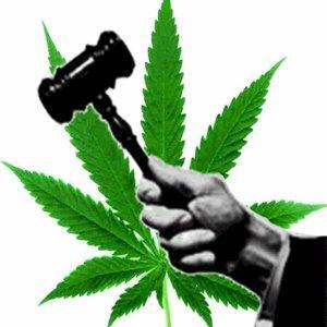 Medical Marijuana